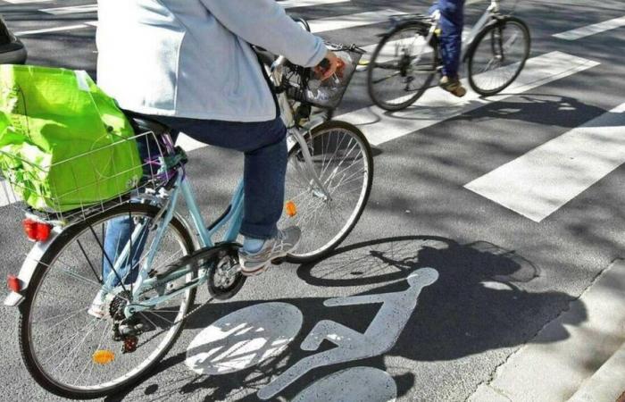 QUIZ. How well do you know the Bicycle Highway Code?