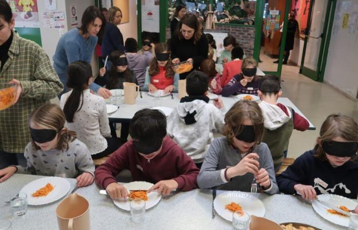 awareness with a blind lunch