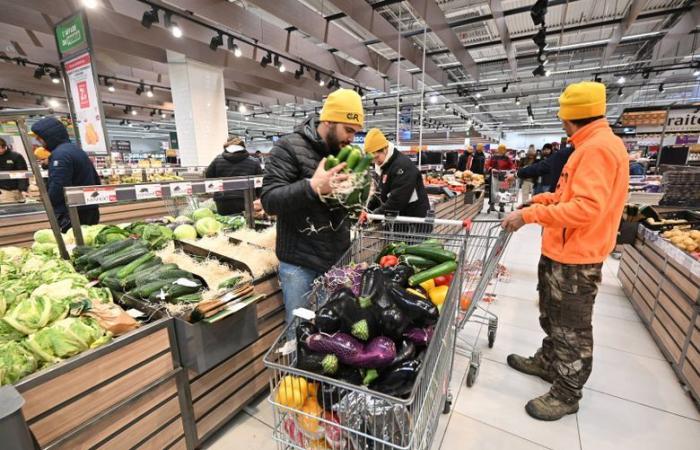 REPLAY. Anger among farmers: blocked motorway tolls, removal of meat from the shelves of a hypermarket… the tone is rising in Toulouse