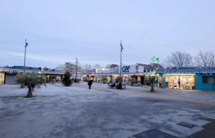 These traders from Cherbourg-en-Cotentin are organizing a big game for Christmas