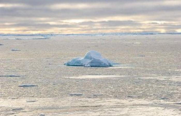 The Arctic now emits more CO2 than it absorbs