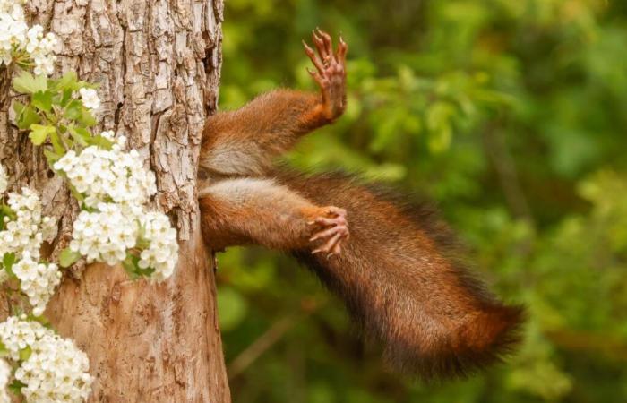 our selection of the most beautiful animal photos