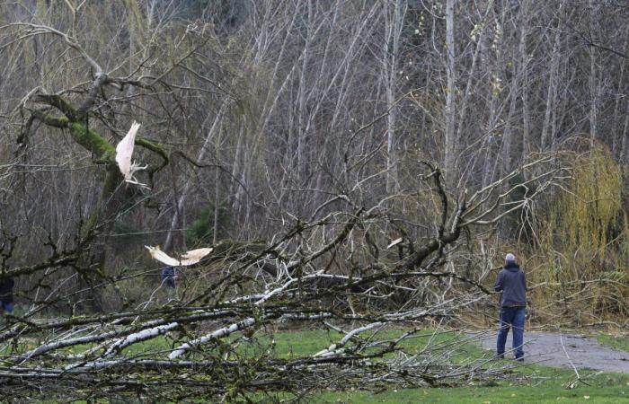 Bomb Cyclone Threat to East Coast, Power Outages Possible