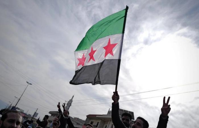 Where does the flag of the Syrian revolution come from?