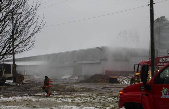 The Journal Saint-François | Fire in a pigsty in Saint-Louis-de-Gonzague