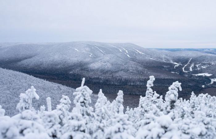 Alpine skiing | The Massif du Sud invests 75 million with help from Quebec