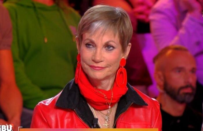 Isabelle Morini-Bosc makes rare confidences in TPMP about her little brother who is “severely burned”