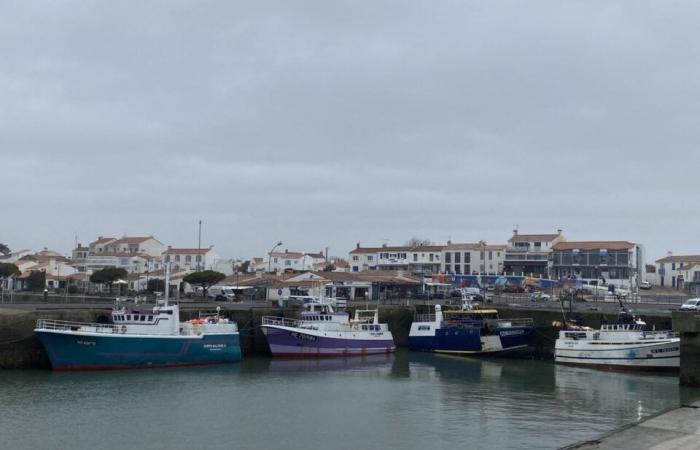 in Vendée, satisfied elected officials, fishermen who point out a system that is running out of steam