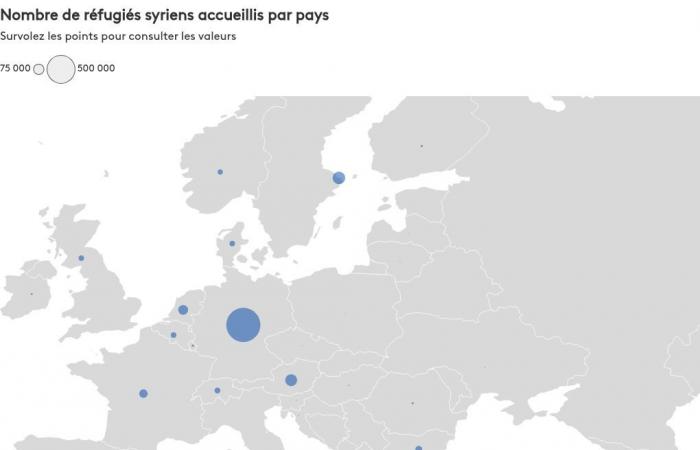 MAP. Türkiye, Lebanon, Germany… See which countries have welcomed the most Syrian refugees