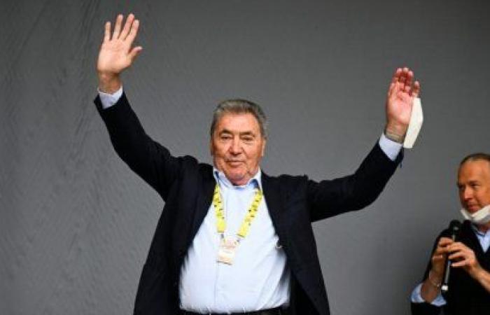 Merckx successfully operated on hip