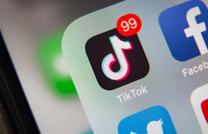 TikTok challenges order to cease operations in Canada