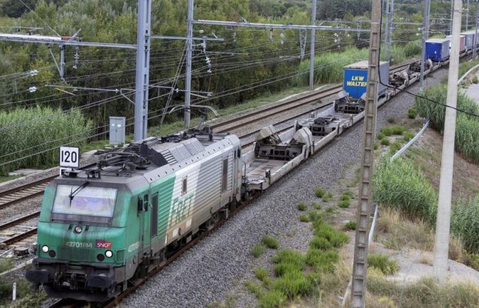 SNCF employees explain their strike against the dismantling of the freight subsidiary