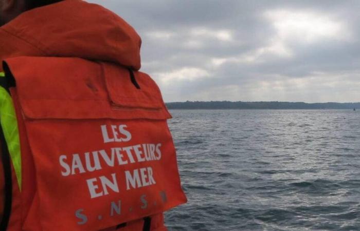 The body of a man found in the Gulf of Morbihan