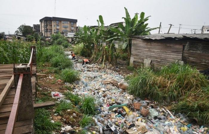 Four key solutions to reduce plastic pollution globally by 2050 – VivAfrik