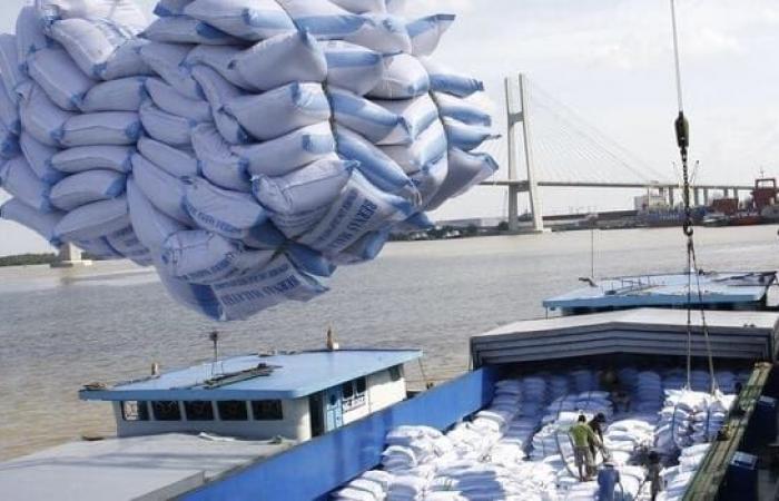 The price of a kg of rice under pressure from sea freight