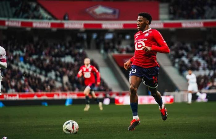 “Discussions still ongoing”, LOSC supporters demand the extension of Jonathan David