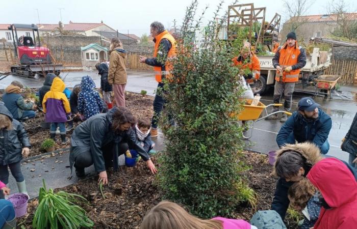 Trees and plants are back in the courtyard of this school in Vendée