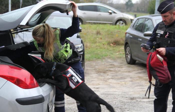 Landes. As the holidays approach, the police mobilized: “think who Sam will be”