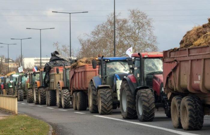 between 80 and 100 tractors and around a hundred demonstrators