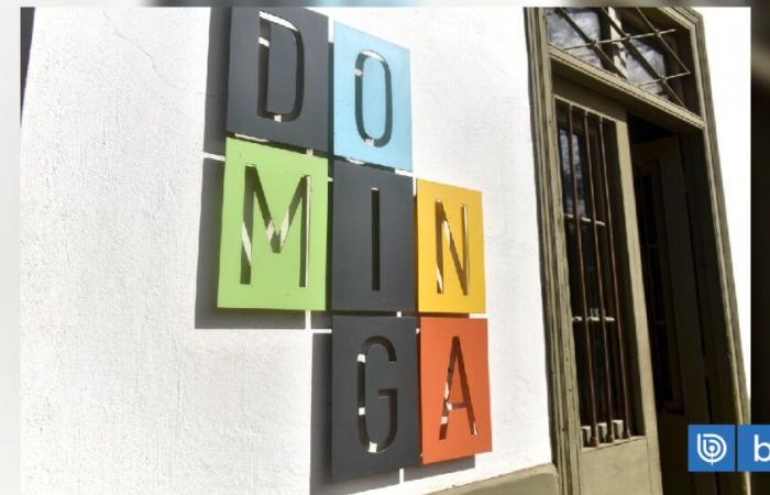 Ruling in favor of Dominga: the new “sense of urgency” that takes up discussion of the Environmental Law 2.0 | Economy