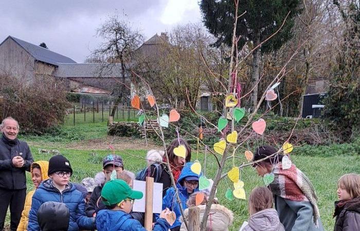 These schoolchildren from Aveyron plant a lime tree in memory of Clémence, their friend who died at the age of 7 last May