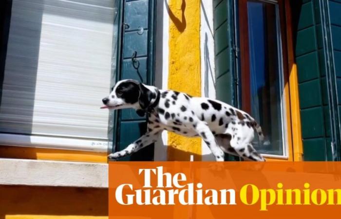 Video is AI’s new frontier – and it is so persuasive, we should all be worried | Victoria Turk