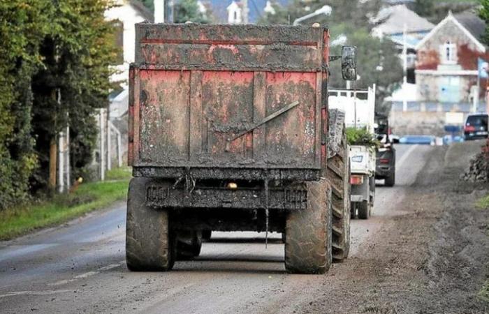 In Finistère, a charter to prevent conflicts of use between farmers and newcomers