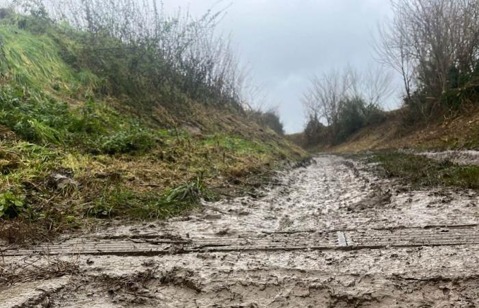 Holes appear in the houses and gardens of a district of Walloon Brabant: “If we don’t do anything, it will get worse…”