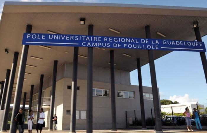 Guadeloupe: after 50 years of existence, the Crous de Fouillole university residence is getting a makeover