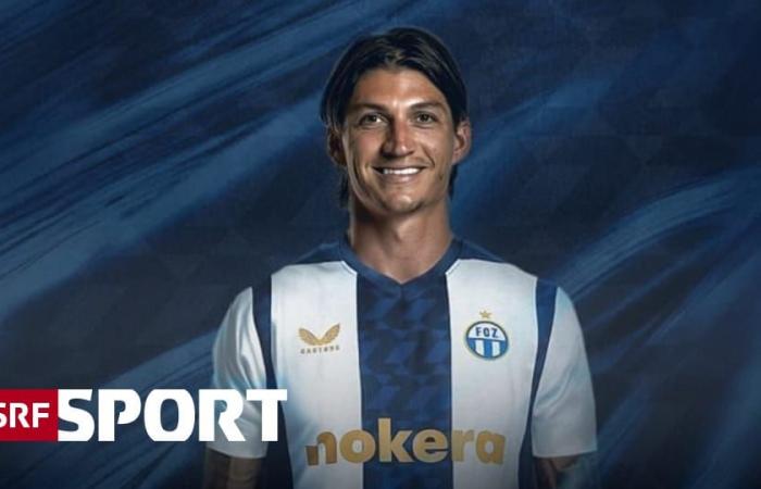 Transfer coup from Zurich – FCZ signs Zuber – Sport