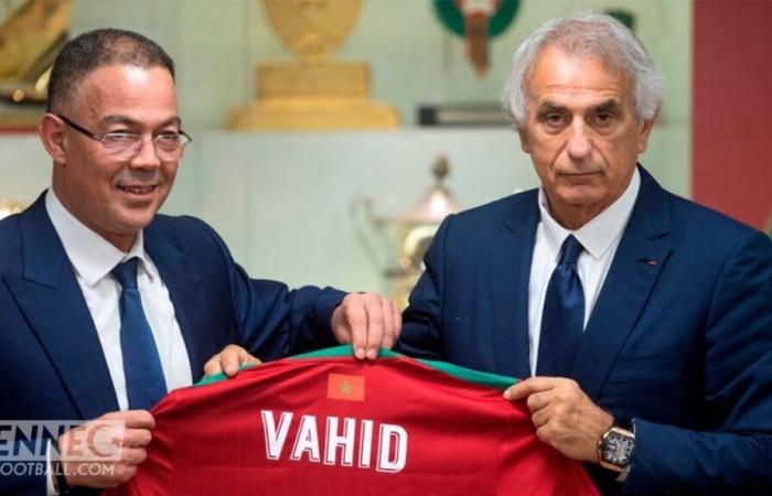 Fired by Morocco, Vahid Halilhodžić could be rehabilitated!