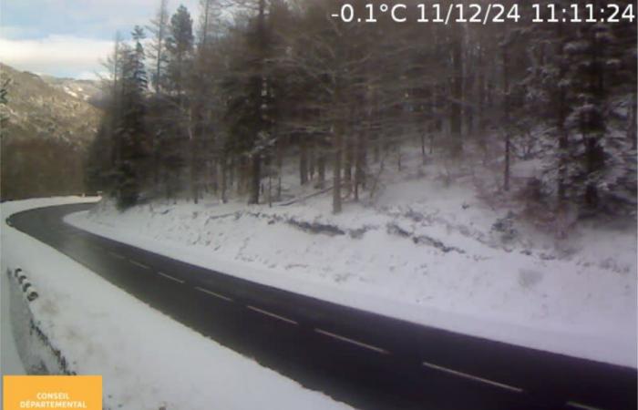 Aigoual in white: snow is settling in the Gard! – News – Gard – Weather – Snow – Mont Aigoual – Ski