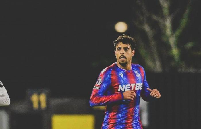 Chadi Riad returns to service with Crystal Palace, good news for Walid Regragui