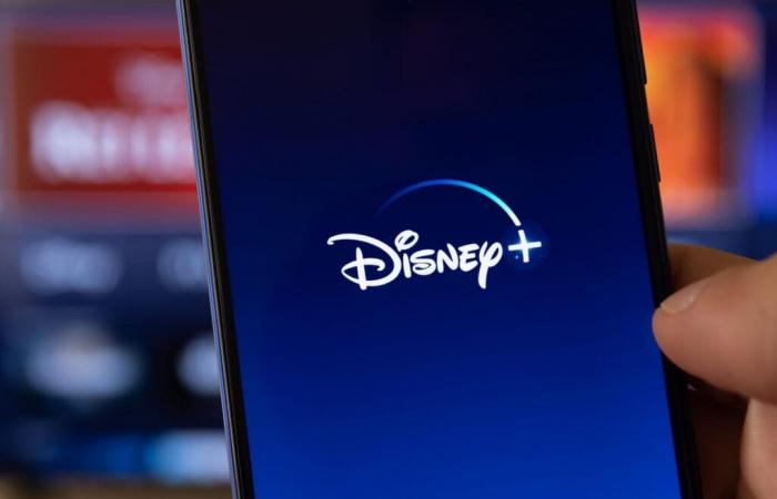 Here is how much you have to pay to share your Disney+ account