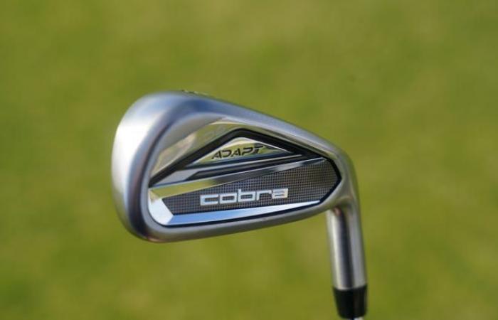 Cobra DS-Adapt, DS-Adapt Max irons