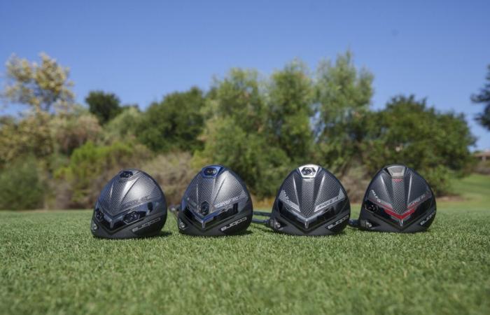 Cobra DS-ADAPT Drivers – The Hackers Paradise