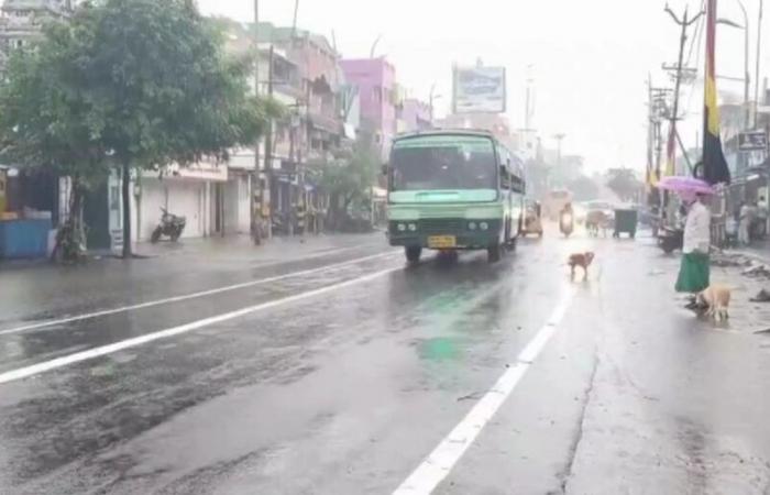 Low pressure system in Bay of Bengal causes heavy rains in Tamil Nadu; 13-year-old dies after wall collapse