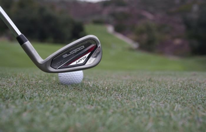 Cobra DS-ADAPT Irons – The Hackers Paradise