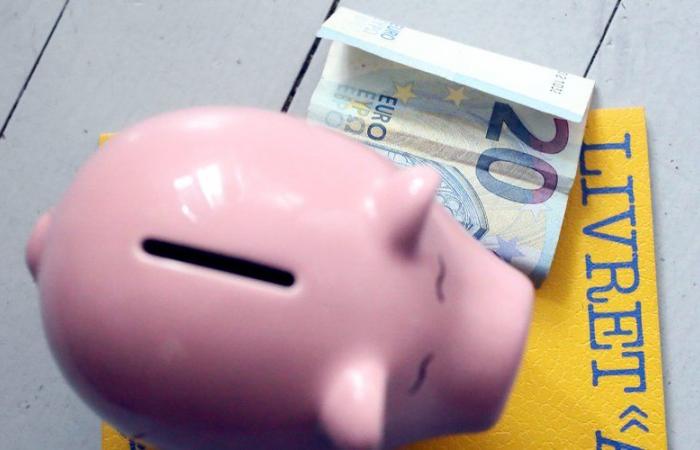 Livret A, LEP, PEL… find out how much your savings accounts will earn you on January 1, 2025