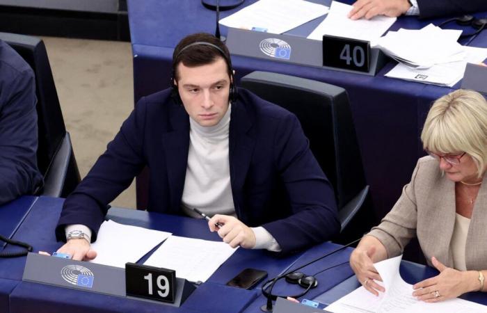 European Parliament refuses to pay Jordan Bardella's chief of staff as parliamentary assistant