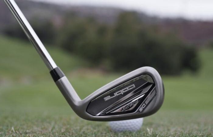 Cobra DS-Adapt Irons: Everything You Need To Know!