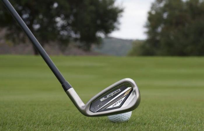 Cobra DS-Adapt Irons: Everything You Need To Know!