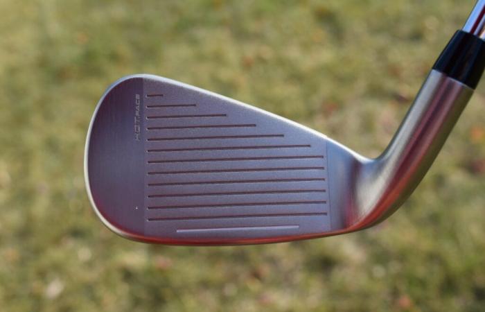 Cobra DS-ADAPT Irons – The Hackers Paradise