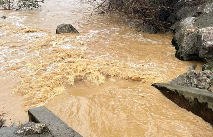 The rain will intensify in the Pyrénées-Orientales: this river could overflow