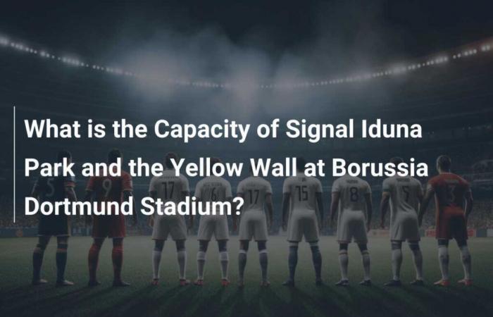 What is the Capacity of Signal Iduna Park and the Yellow Wall at Borussia Dortmund Stadium?