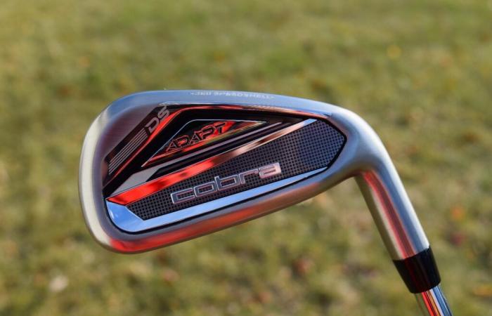 Cobra DS-ADAPT Irons – The Hackers Paradise