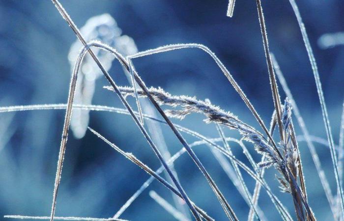 Weather: up to -5.5°C this Thursday morning, in which municipalities was it the coldest in Aveyron?