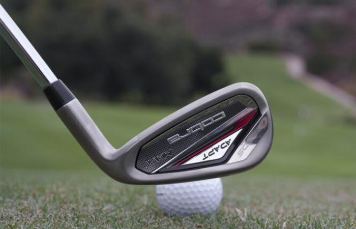 Cobra DS-Adapt Irons: Everything You Need To Know!