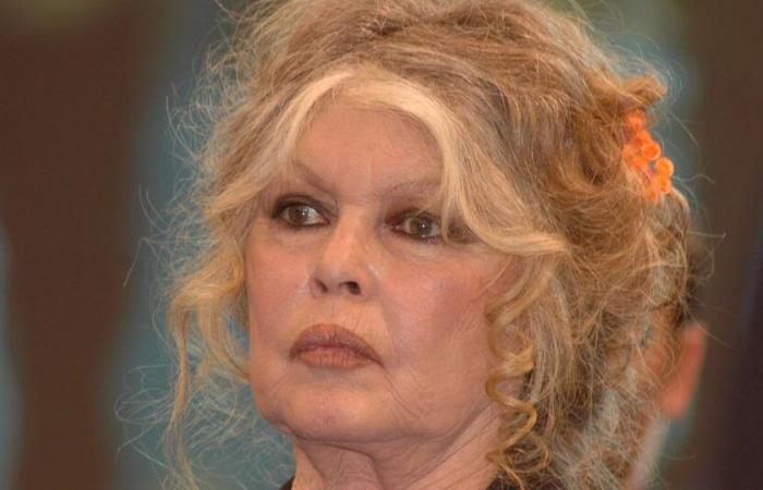 Brigitte Bardot without television or internet following a breakdown, she gets annoyed: “I find it scandalous”