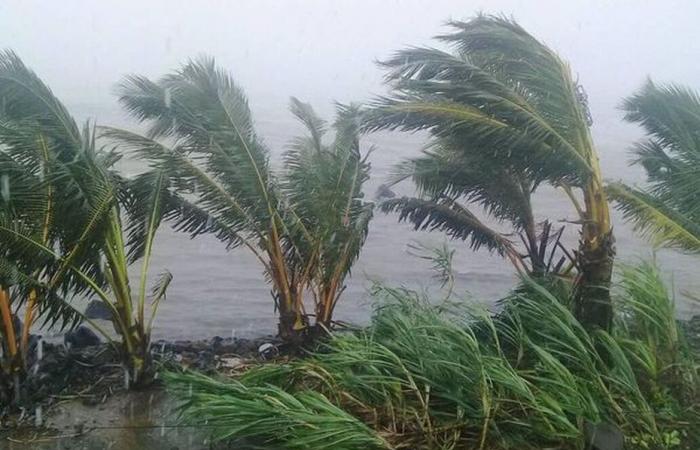 Cyclone Chido is expected to reach Mayotte around 7:30 a.m. this Saturday morning